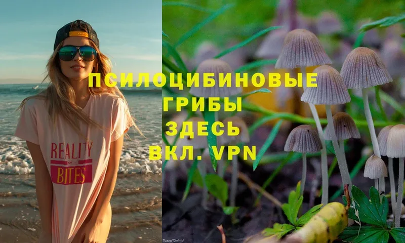 omg зеркало  Поворино  Псилоцибиновые грибы Magic Shrooms 